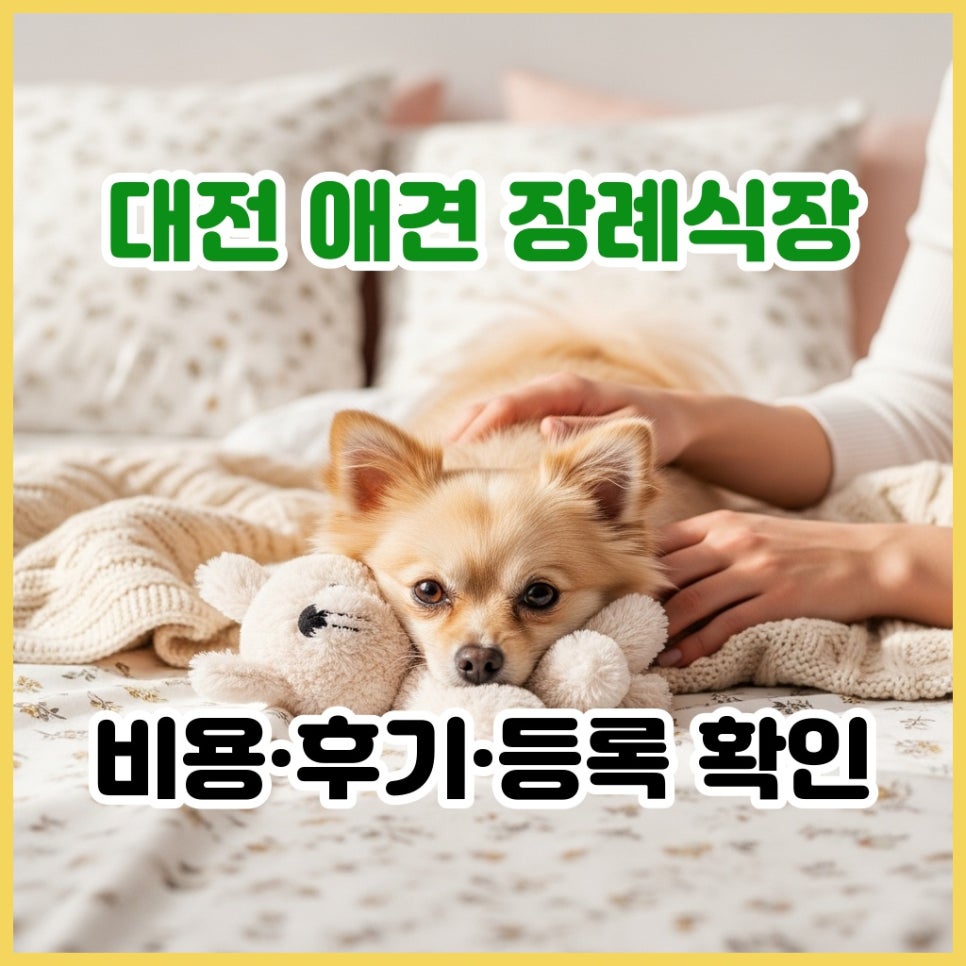 대전 애견 장례식장 비용 및 절차 상세 안내
