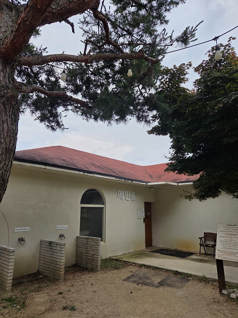 용인 테일45 애견운동장, 5000평 규모 프라이빗존 후기 — 사진 10