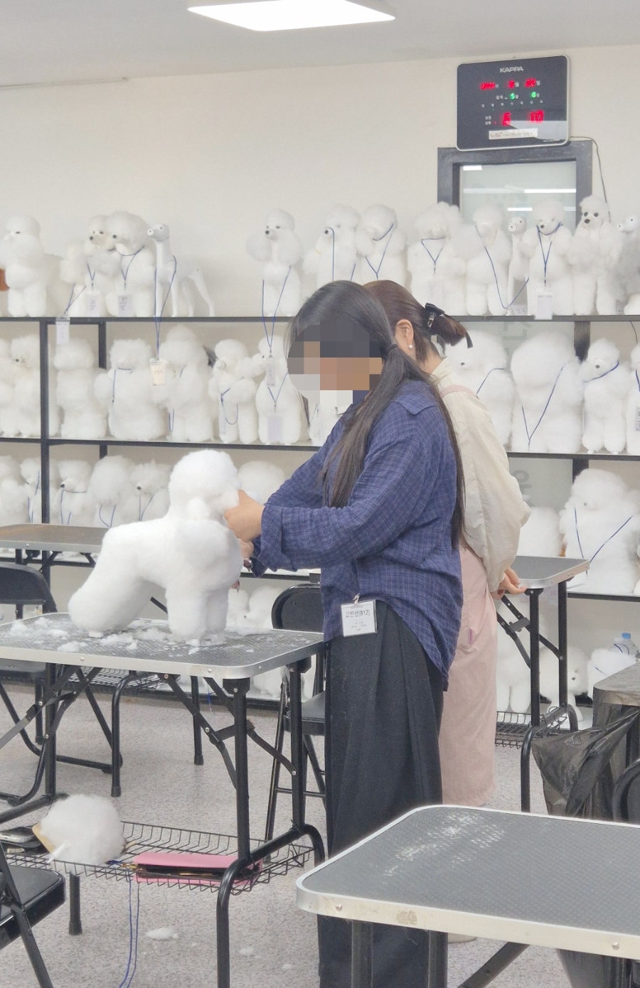 부평 애견미용학원, 실습 중심 교육기관 선택 가이드 — 사진 2