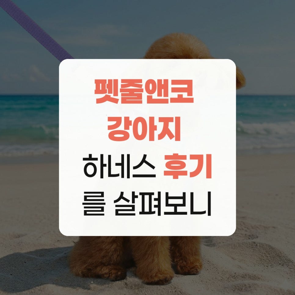 펫줄앤코 강아지 하네스, 2만원대 쿨링 기능 후기 — 사진 2