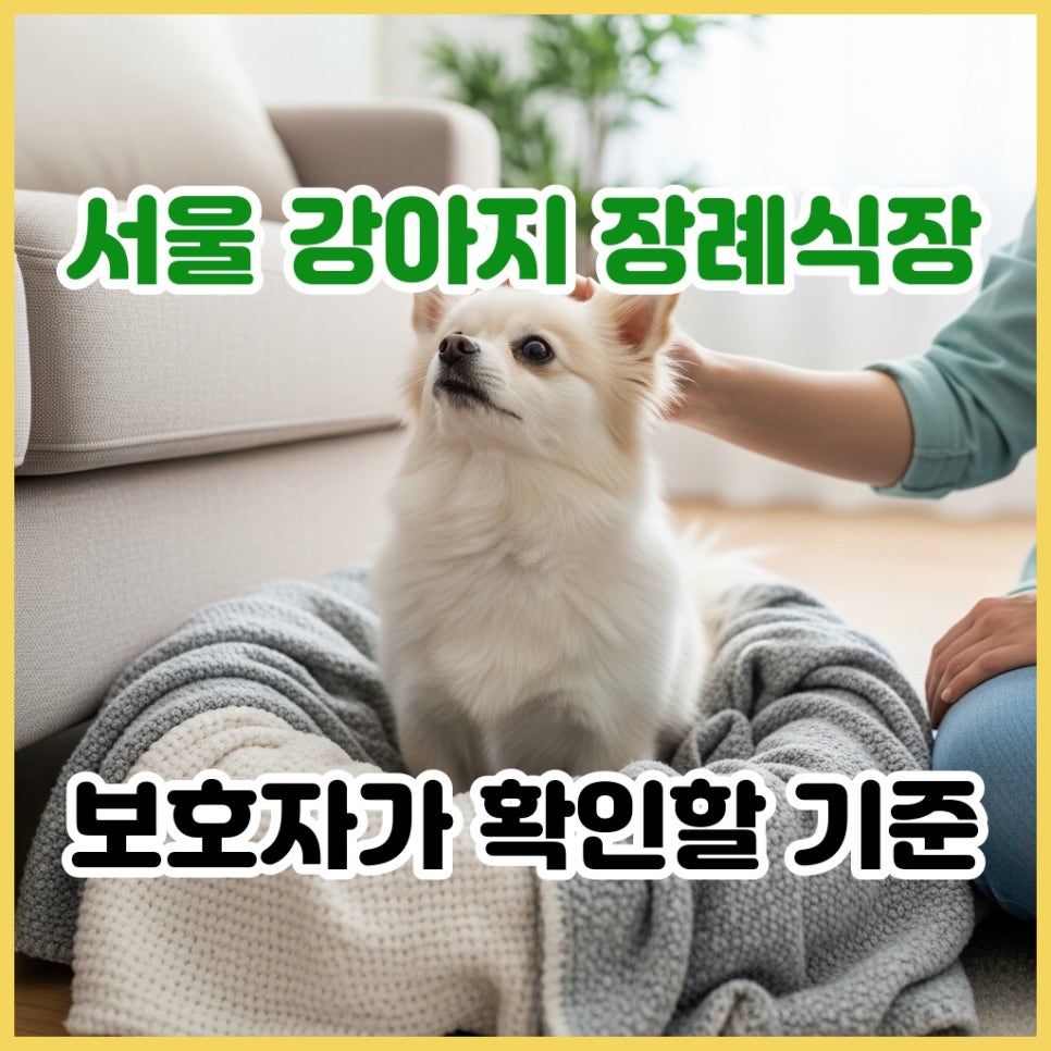 서울 강아지 장례식장 비용·후기 비교