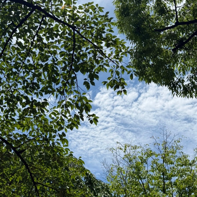 모타운 서울 사진 5