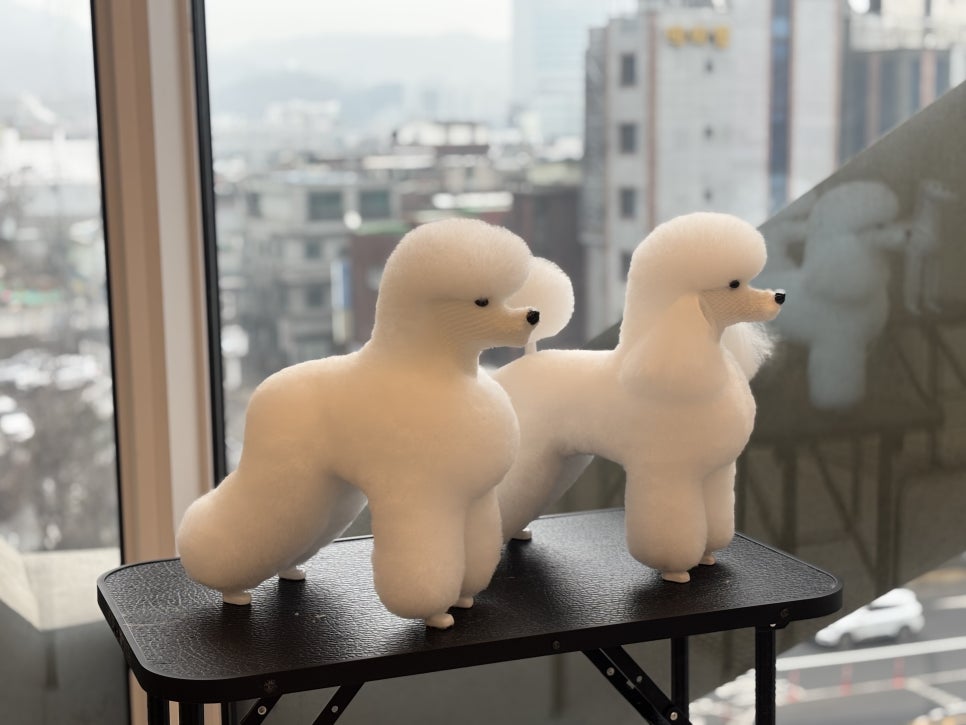 부평 강아지미용, 기술직 도전으로 주목받는 이유