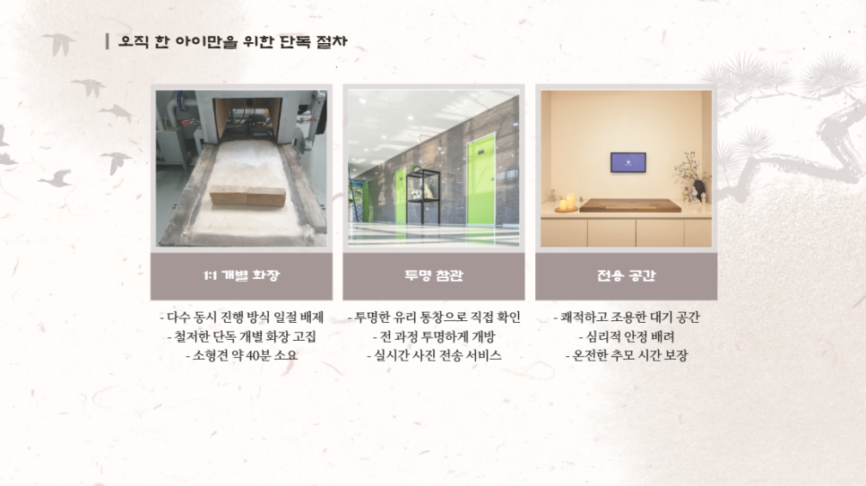 강아지 장례식장 절차, 비용, 후기 완벽 안내 — 사진 4