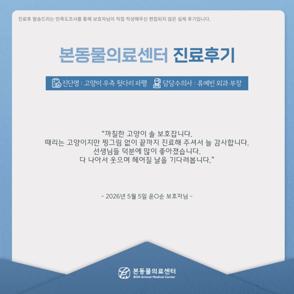 수원 본동물의료센터: 강아지 질환별 진료 후기 및 비용 안내 — 사진 2