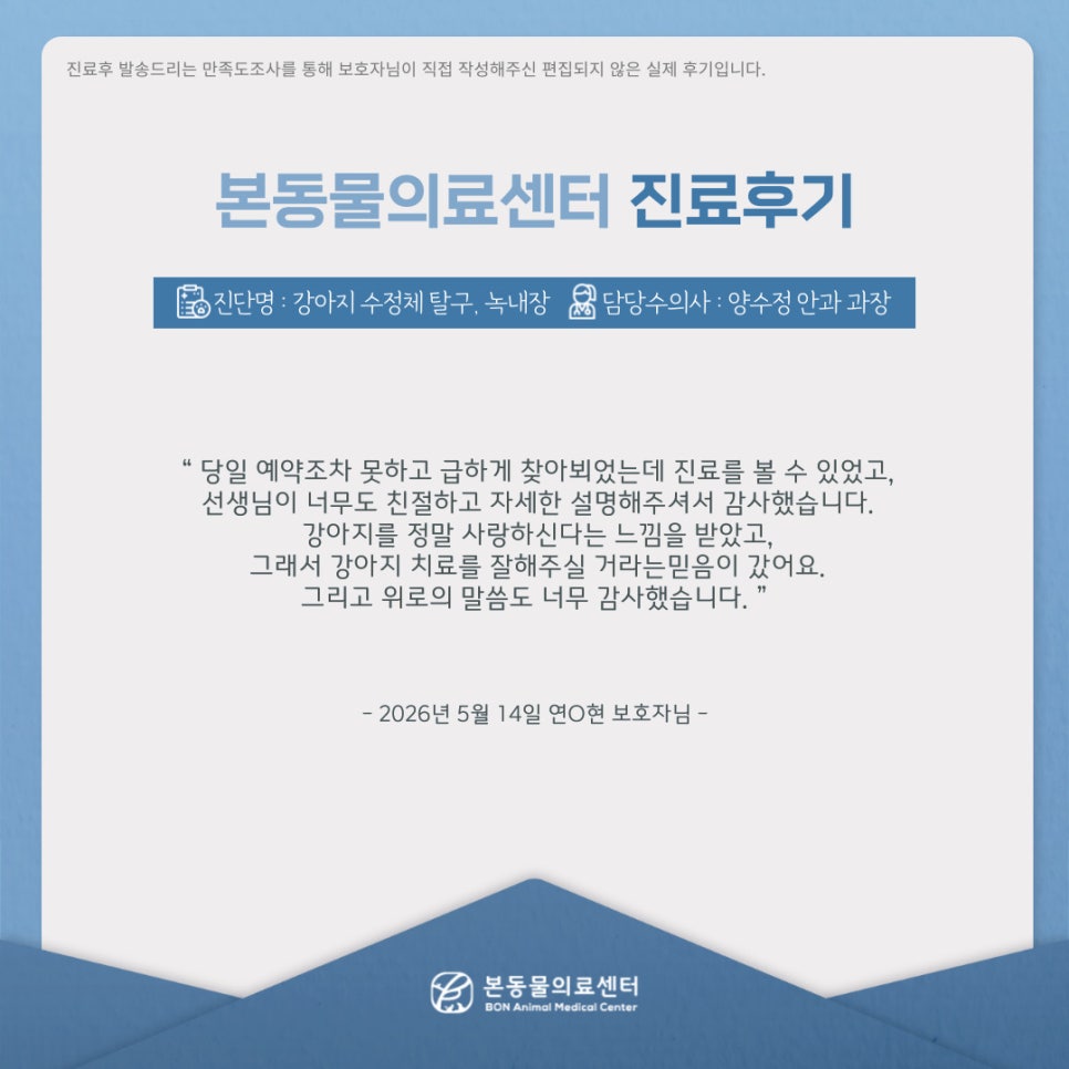 수원 본동물의료센터: 강아지 질환별 진료 후기 및 비용 안내 — 사진 5