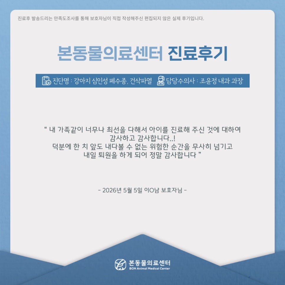 수원 본동물의료센터: 강아지 질환별 진료 후기 및 비용 안내 — 사진 3