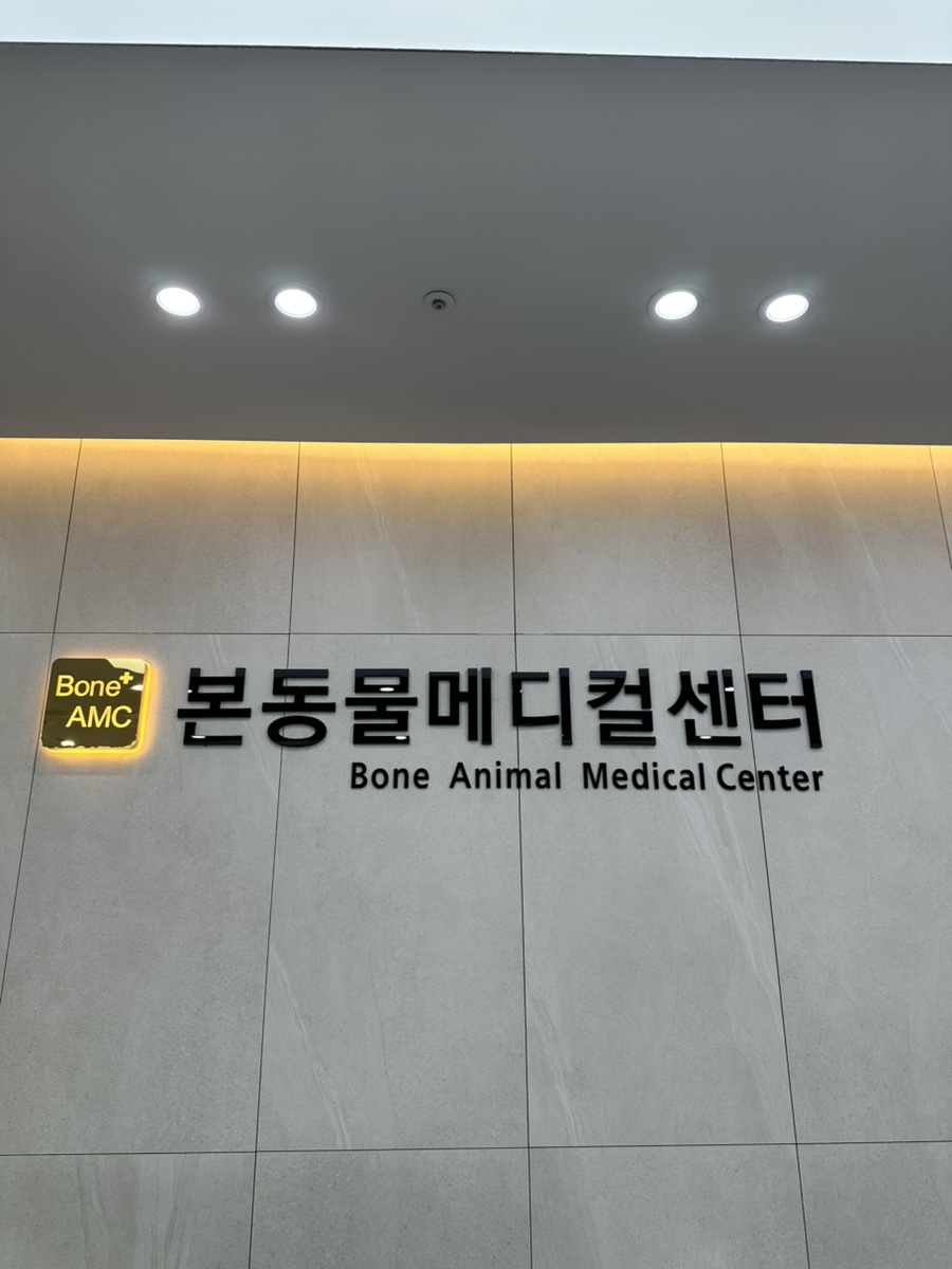 대구 슬개골 수술 후기: 본동물병원 24시 수성점 경과 관찰 — 사진 4