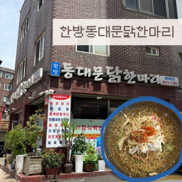 한방동대문닭한마리 사진 7