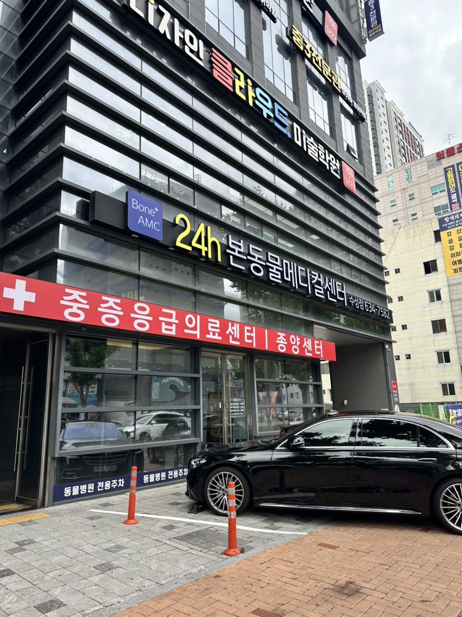 대구 슬개골 수술 후기: 본동물병원 24시 수성점 경과 관찰 — 사진 3