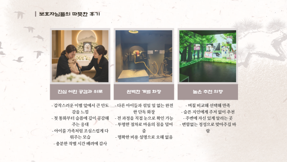 강아지 장례식장 절차, 비용, 후기 완벽 안내 — 사진 6