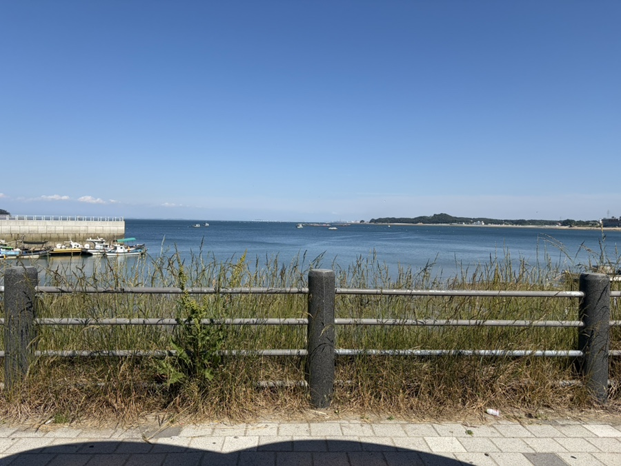더타코부스 잠실스타점 사진 4