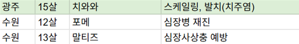 용인 강아지 동물병원: 16년 경력 수의사의 꼼꼼한 진료 — 사진 2