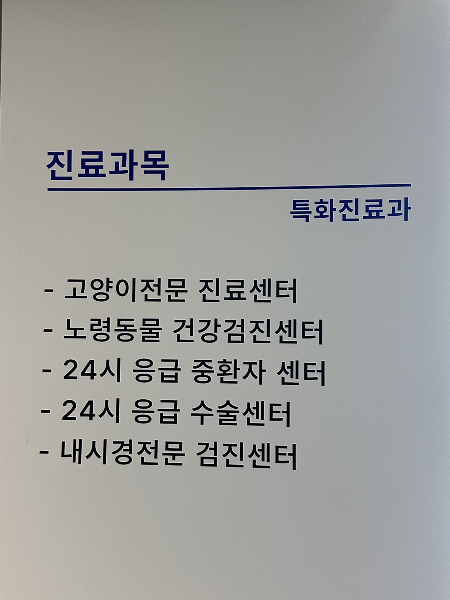 안양 강아지 건강검진, 24시 라이프동물병원 후기 — 사진 3