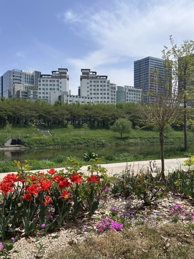 명가온김밥 철산점 대표 사진
