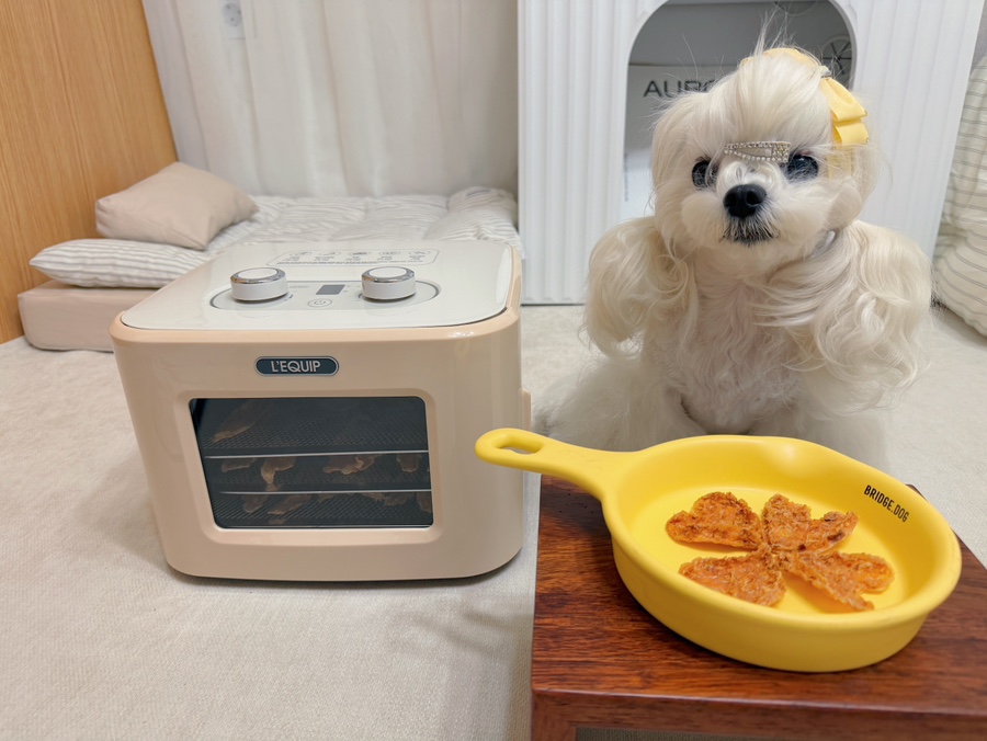강아지 수제간식 만들기, 리큅 미니 건조기 선택 이유 — 사진 3