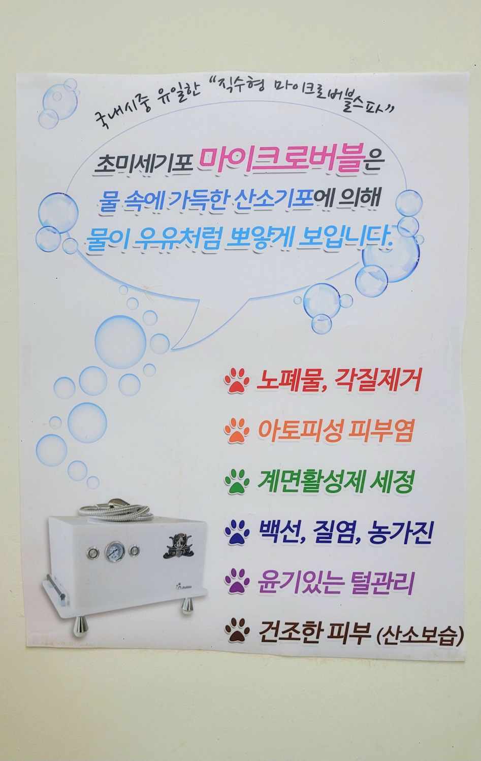강남 고양이 미용, 맞춤 디자인과 프리미엄 스파로 특별하게 — 사진 3