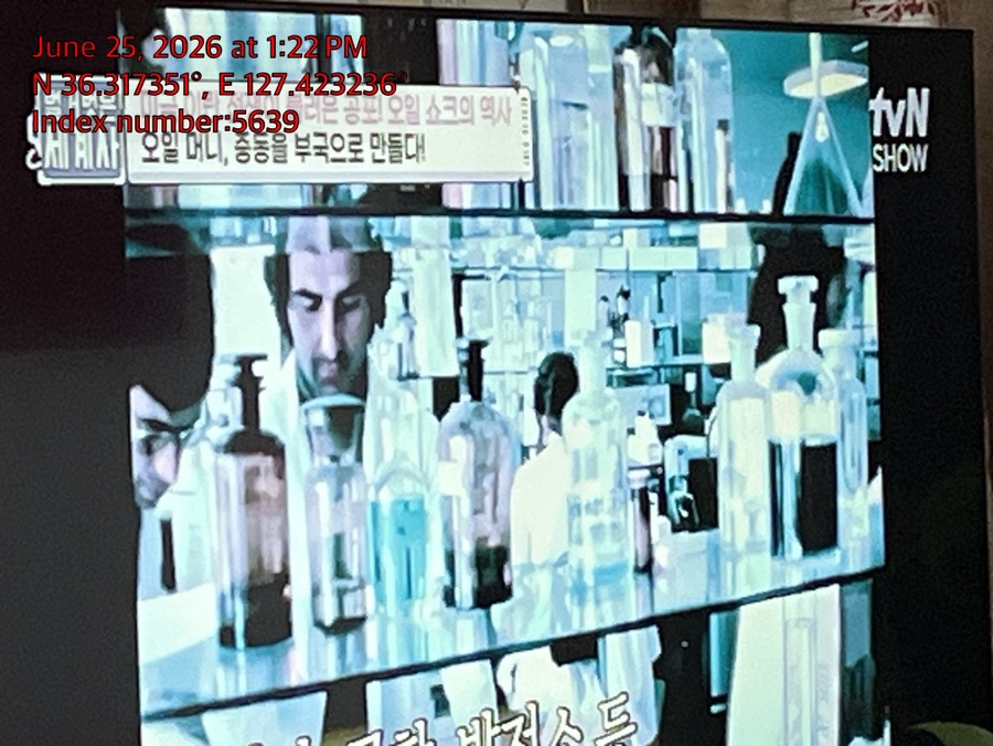 강아지 슬개골 탈구, 수술 비용 및 회복 과정 완벽 가이드 — 사진 4