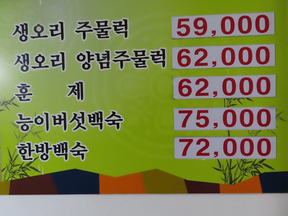 황금오리 사진 3