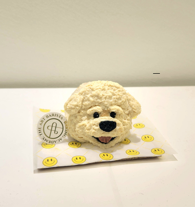 부평 강아지 간식·케이크·선물 만들기 클래스 후기 — 사진 8