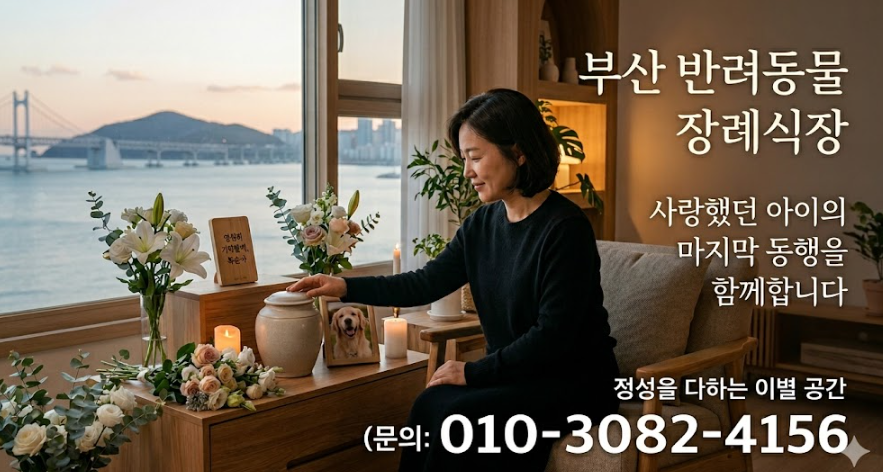 부산 강아지 장례식장 비교: 대형견 가능한 곳 비용 안내 — 사진 2