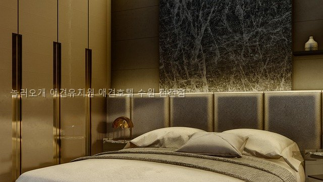 수원 놀러오개 애견유치원, 우리 강아지 사회성 키우기 — 사진 3