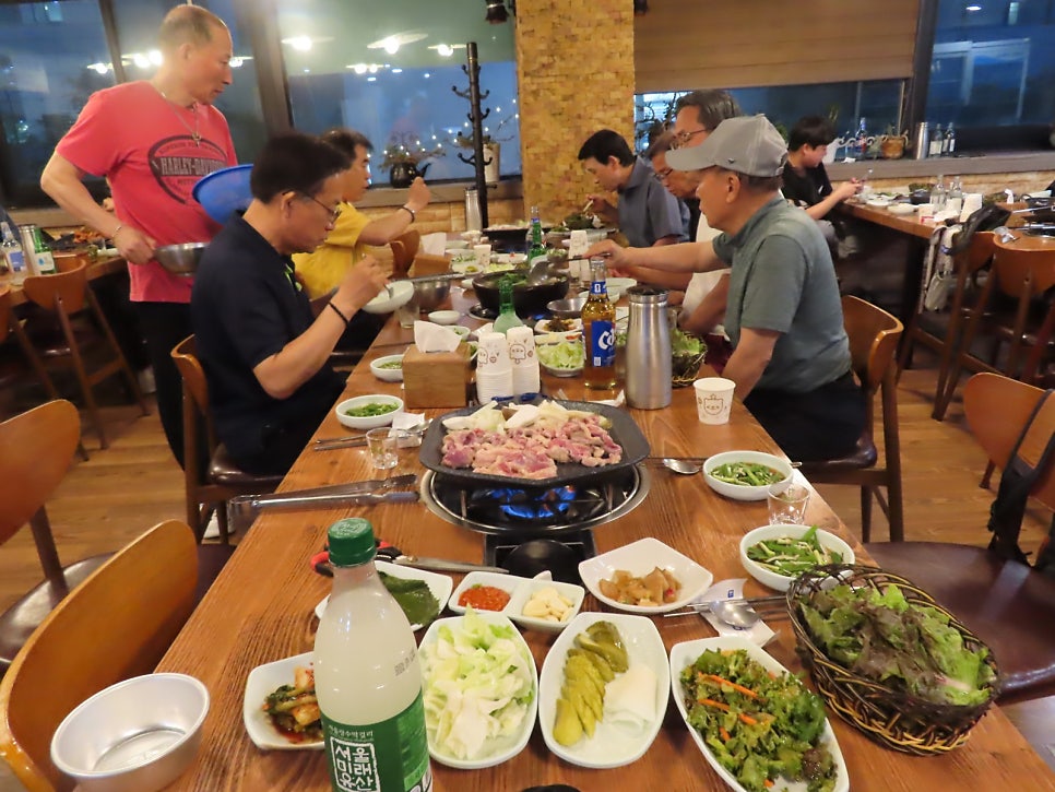 황금오리 사진 6