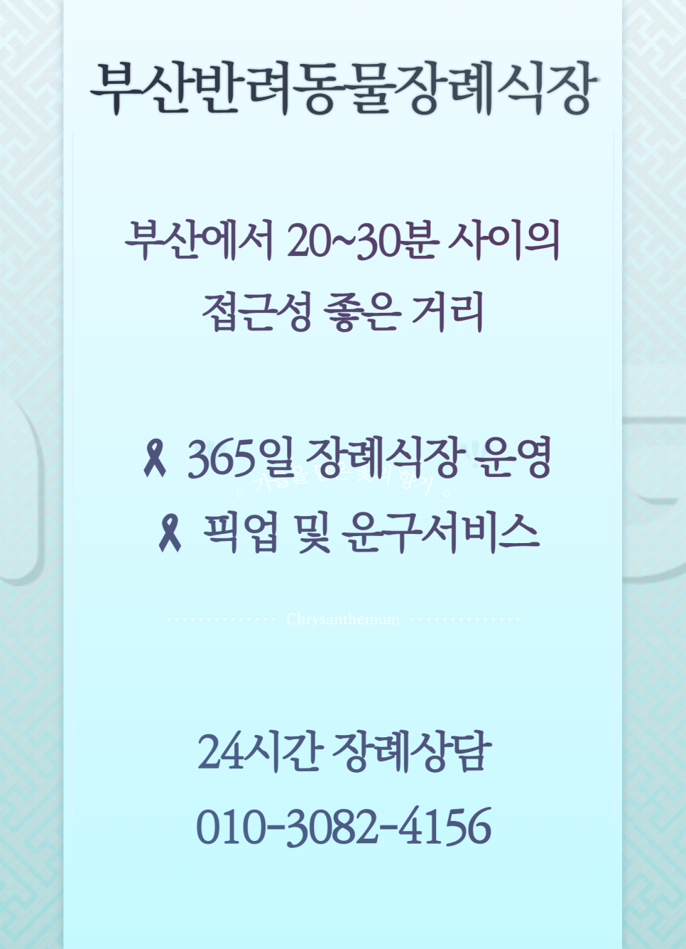 부산 강아지 장례식장 비교: 대형견 가능한 곳 비용 안내 — 사진 3