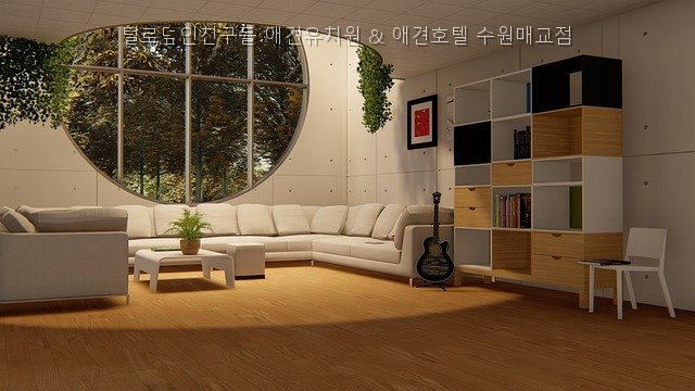 수원 애견유치원 털로덮인친구들, 사회화·훈련 프로그램 — 사진 2