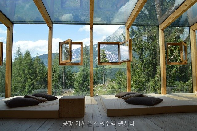 시흥 애견유치원: 공항 근처 전원주택 펫시터 안전 체크 — 사진 3