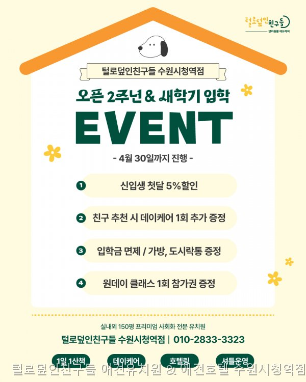 수원 애견유치원 털로덮인친구들, 안전한 놀이와 훈련 — 사진 3