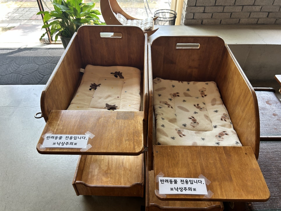 김포 장기동 애견동반 브런치 맛집 '그믐달' 데이트 코스 — 사진 11