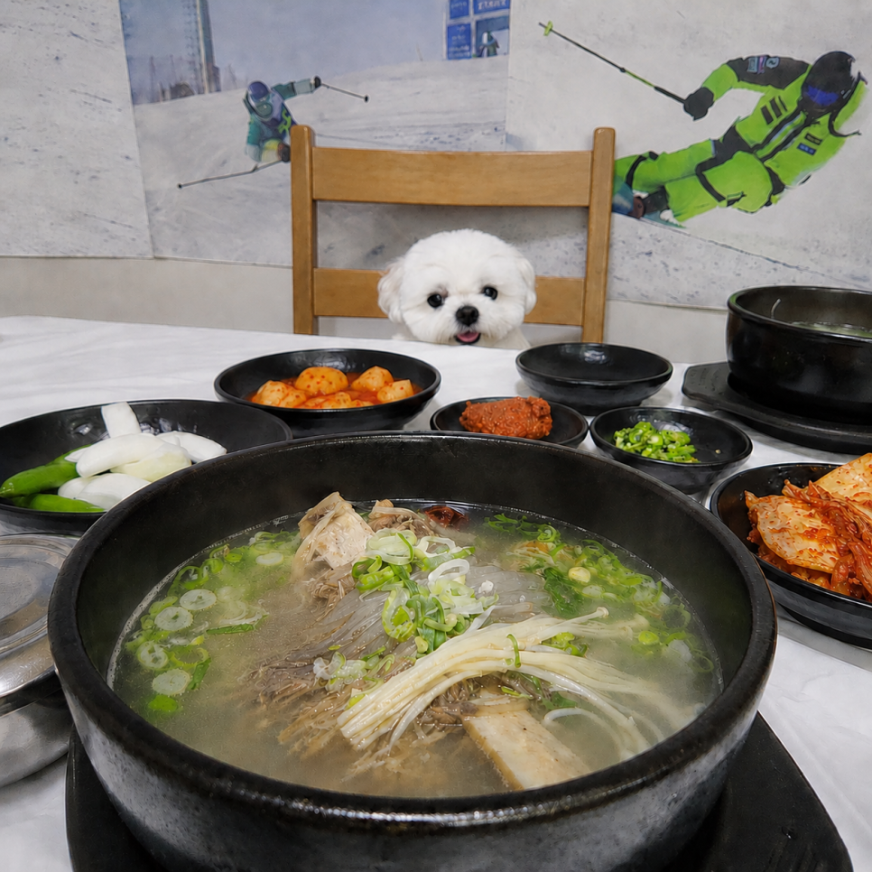 평창 애견동반 갈비탕 맛집, 새벽 대관령 본점 후기 — 사진 15