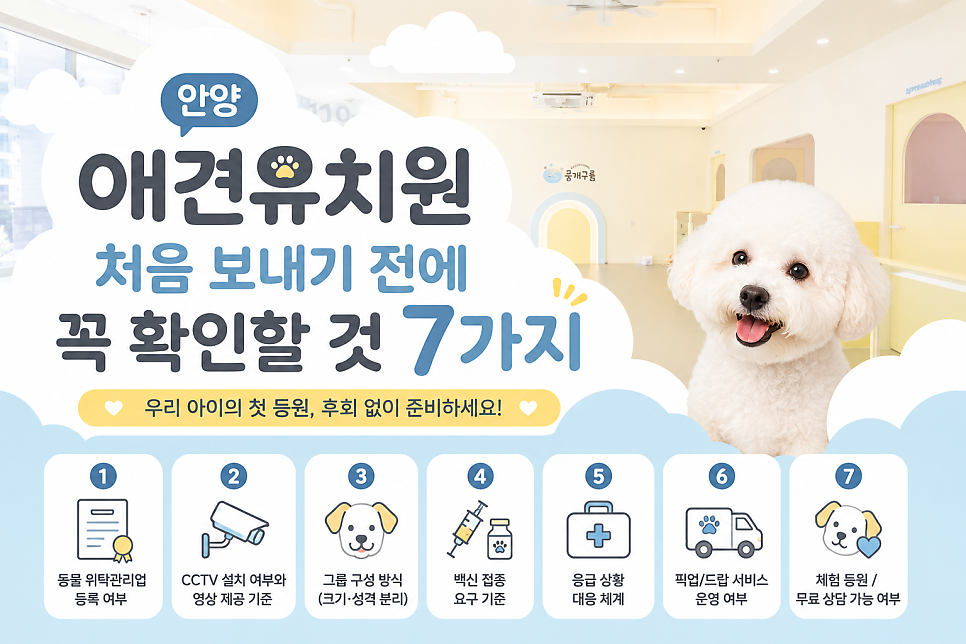 안양 애견유치원 선택 가이드: 첫 등원 전 필수 체크리스트