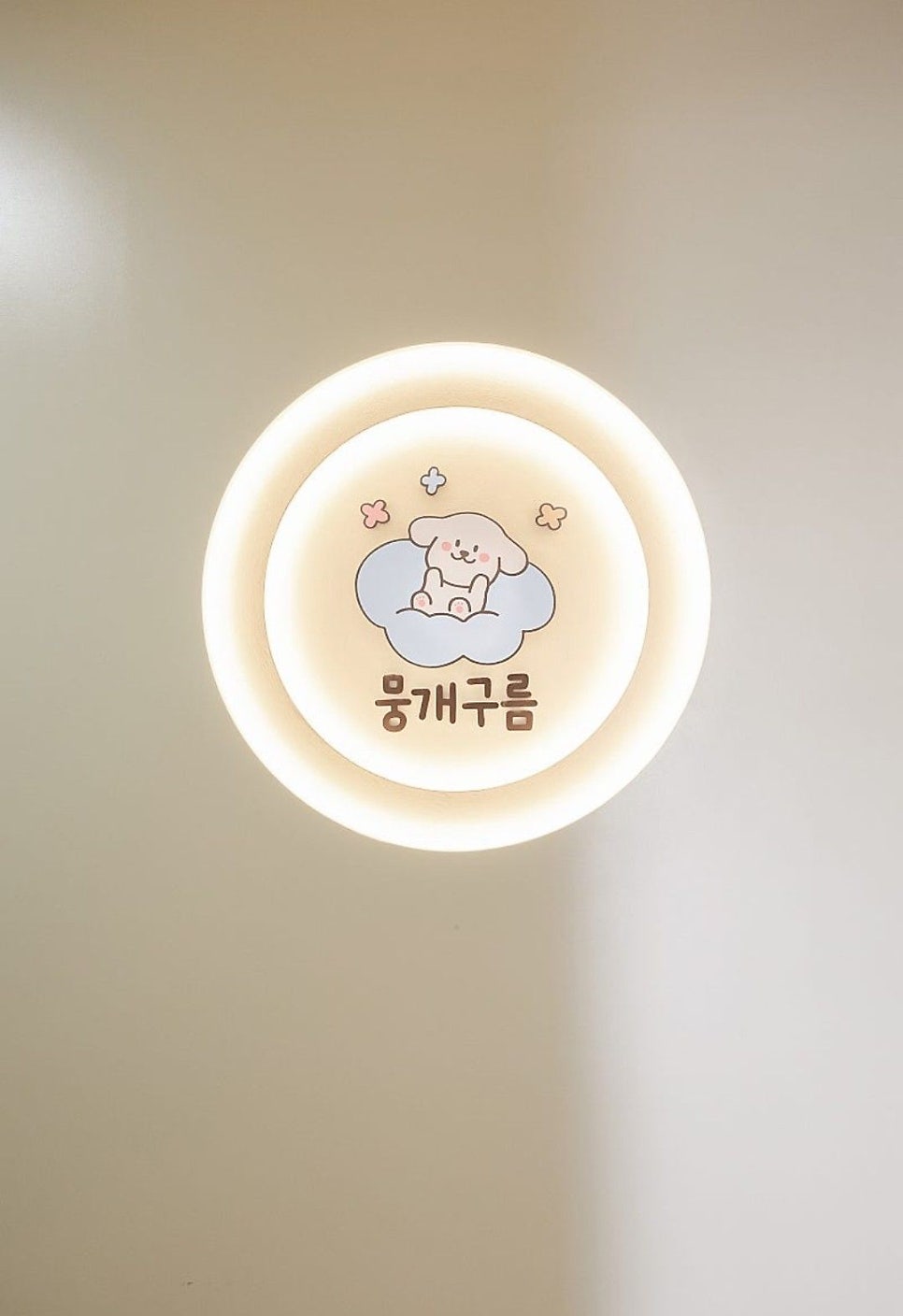 안양 애견유치원 선택 가이드: 첫 등원 전 필수 체크리스트 — 사진 2