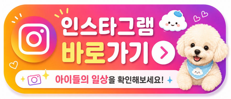 안양 애견유치원 선택 가이드: 첫 등원 전 필수 체크리스트 — 사진 19