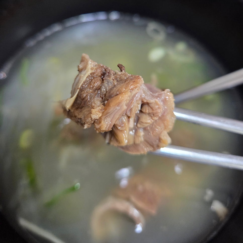 평창 애견동반 갈비탕 맛집, 새벽 대관령 본점 후기 — 사진 12