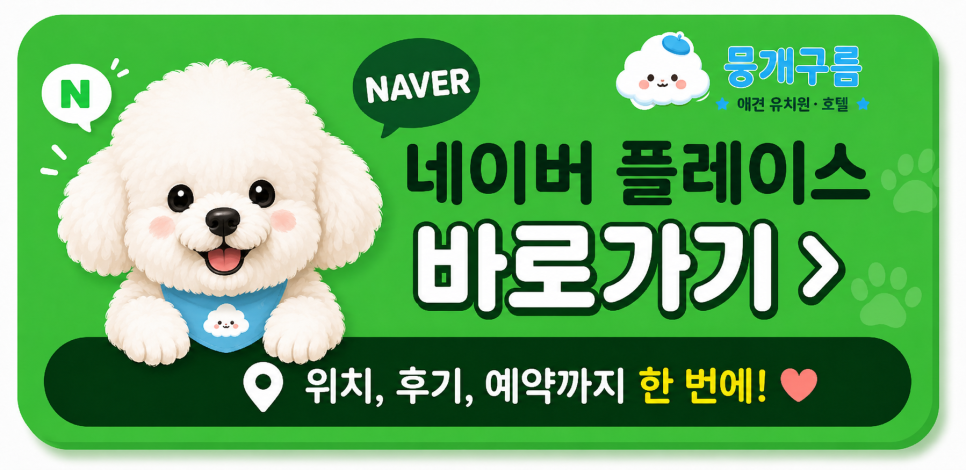 안양 애견유치원 선택 가이드: 첫 등원 전 필수 체크리스트 — 사진 20