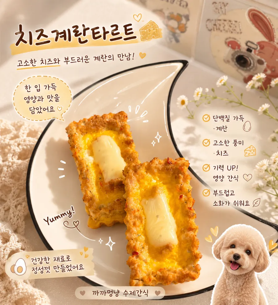 대전 강아지 수제간식, 치즈계란타르트 오픈 예정