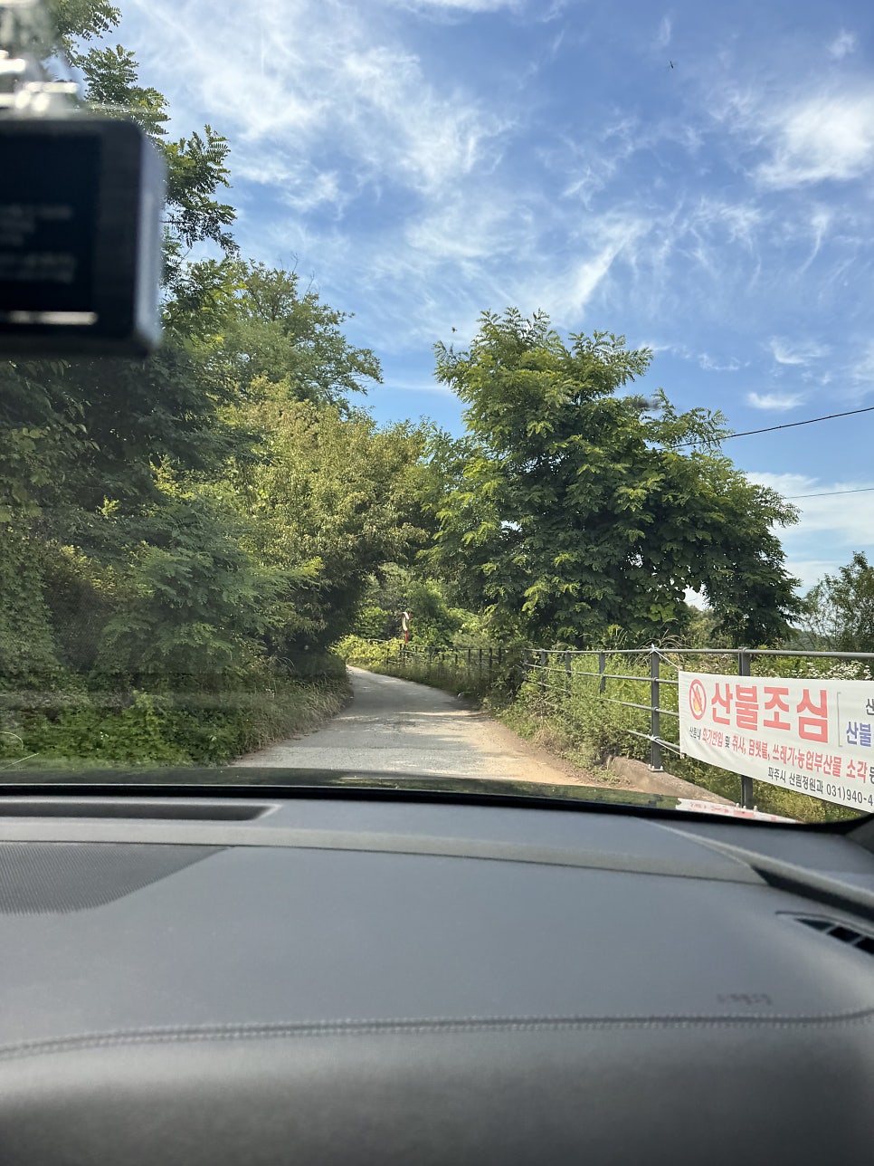 파주 오프리쉬 독파크: 수영장과 잔디 운동장 후기 — 사진 5