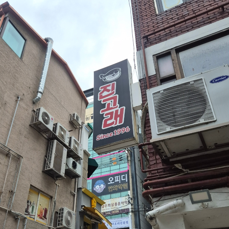 진고래 사진 4