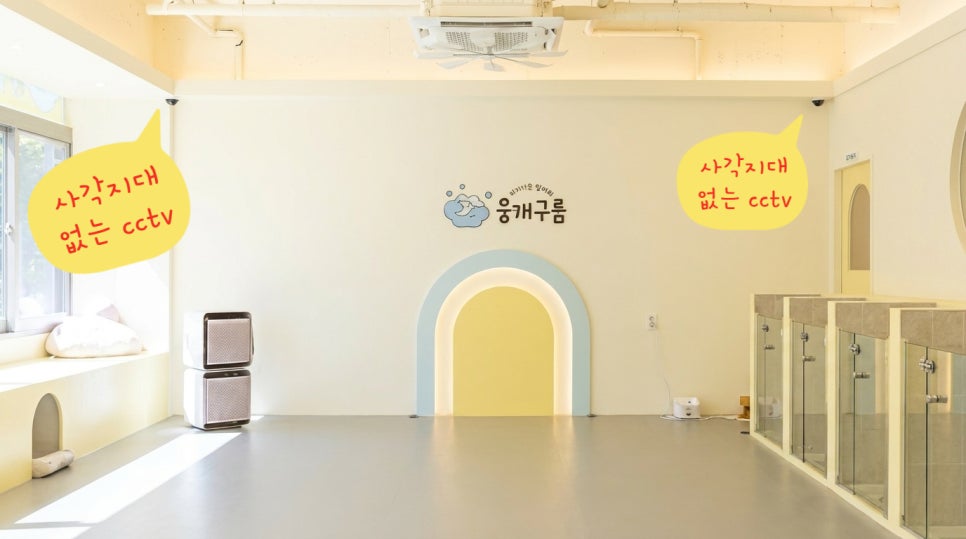 안양 애견유치원 선택 가이드: 첫 등원 전 필수 체크리스트 — 사진 7