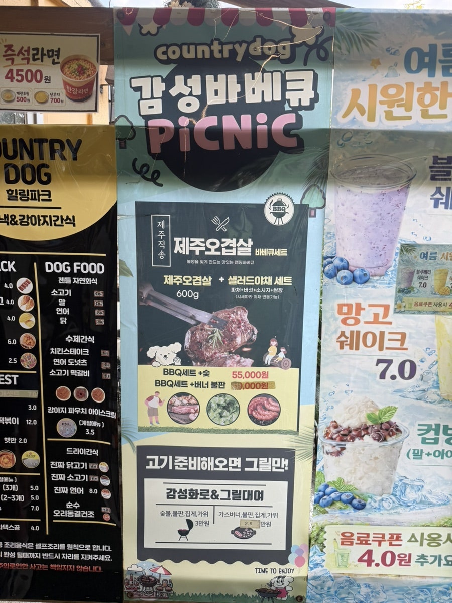 용인 컨츄리독 애견카페 수영장, 강아지 운동장 비용 — 사진 18