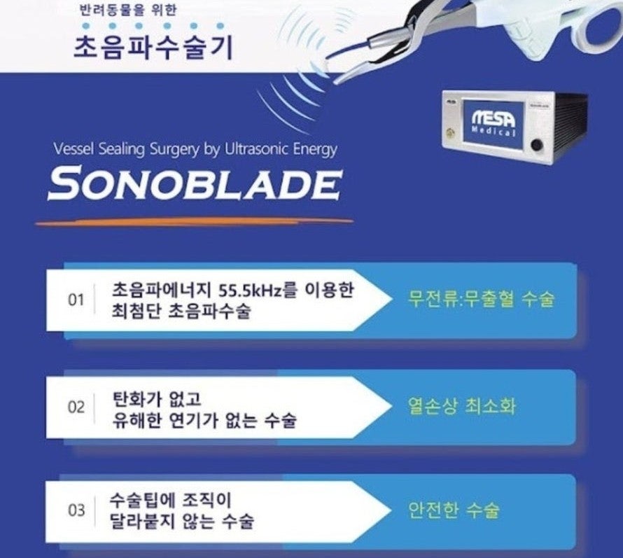 말티푸 중성화 수술 및 잔존 유치 발치 후기 (위례튼튼동물병원) — 사진 3