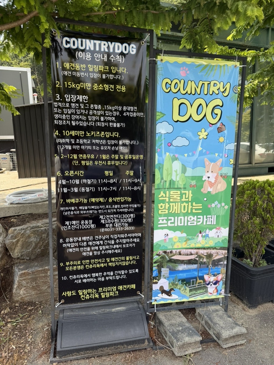 용인 컨츄리독 애견카페 수영장, 강아지 운동장 비용 — 사진 5