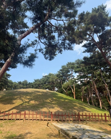 호앙비엣 선릉점 사진 2