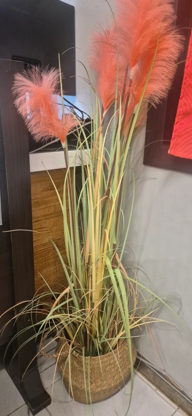 바르 회식 제주이도점 사진 5