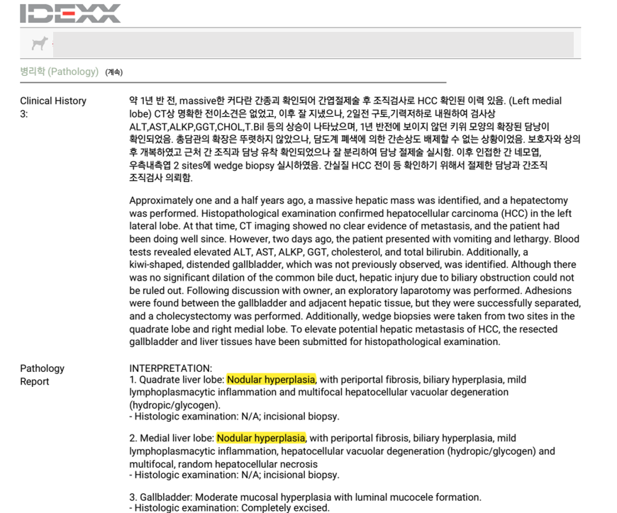 부산 강아지 담낭점액종 수술, 구토 증상과 회복 과정 — 사진 9