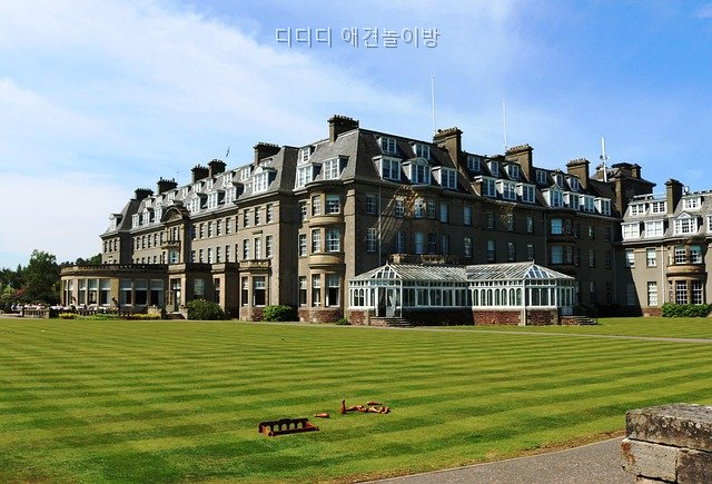 디디디 애견놀이방: 성남 수정구 위치와 이용 정보 — 사진 5