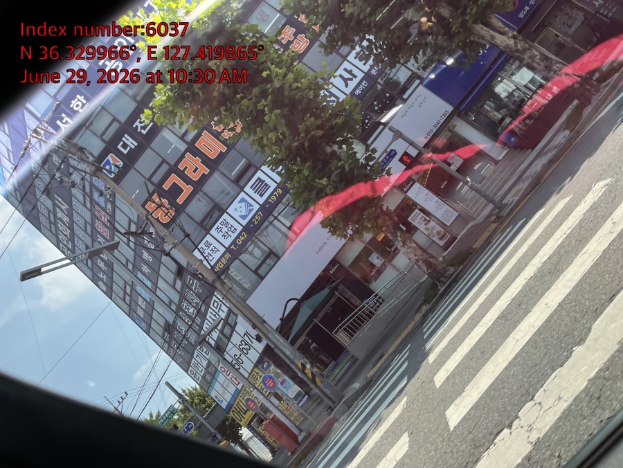 강아지 슬개골 탈구, 수술 없이 관리 가능한가요? — 사진 5